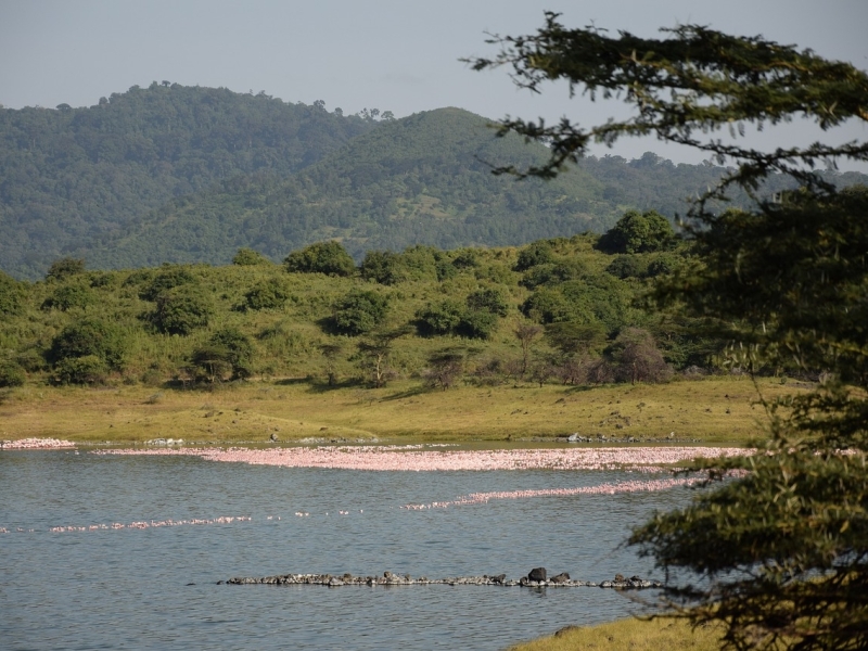 Arusha Lake Momella Tanzania