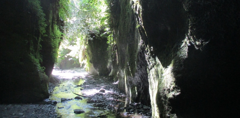 Arusha waterfall walk Napuru falls Tanzania