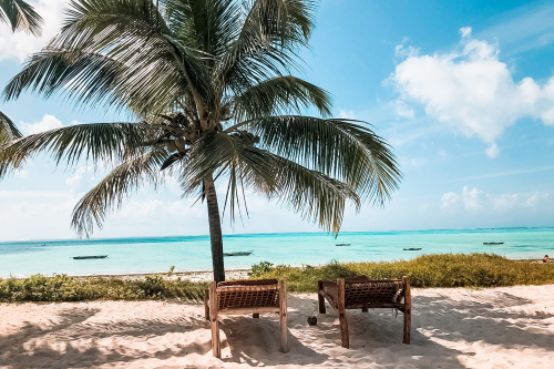 Op Zanzibar kun je genieten van mooie stranden, Stone town en tropische stranden