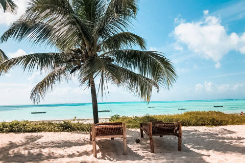 Op Zanzibar kun je genieten van mooie stranden, Stone town en tropische stranden