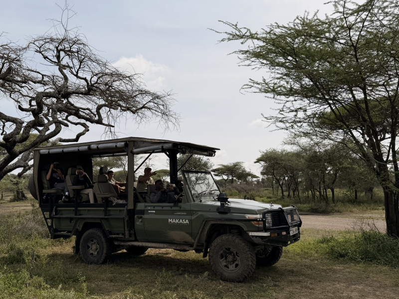 Open Safari Jeep Makasa