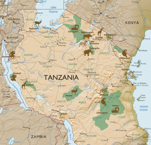 Tanzania Afrika Vakantie