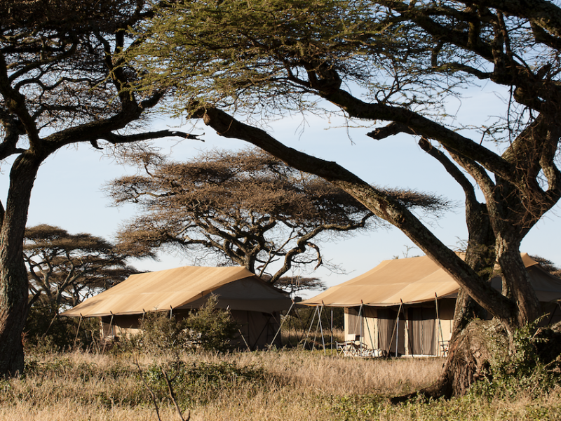 Tanzania Safari Glamping Tented Camp