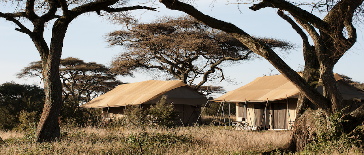 Glamping safari Tanzania