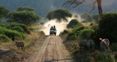 wilde dieren spotten in Serengeti National Park