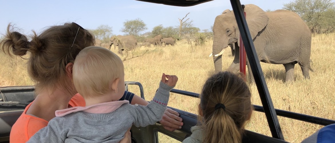 Hoe ziet een typische safari dag eruit?