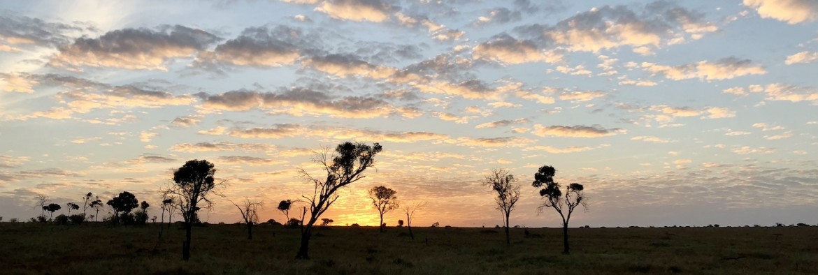 Tanzania Safari dag vroeg op voor zonsopgang