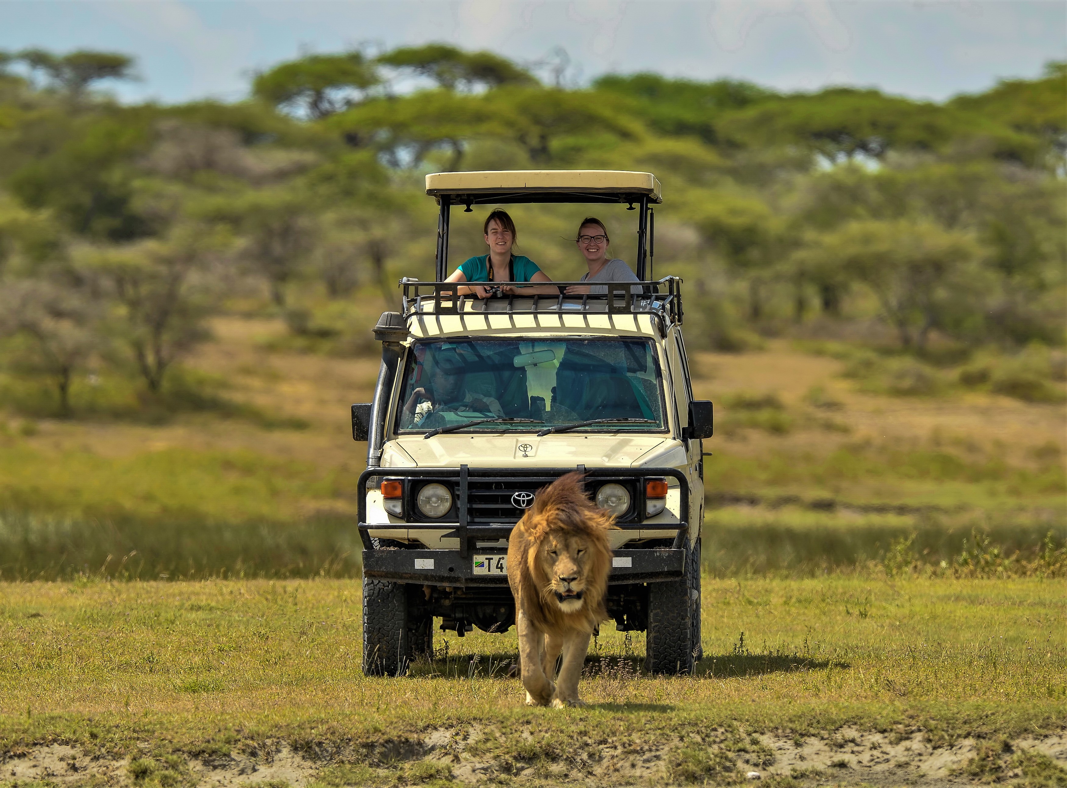 Tanzania vakantie: bezoek serengeti np