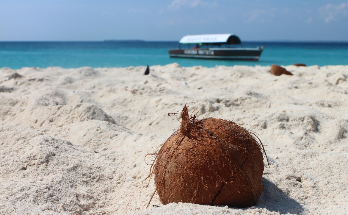 Zanzibar kokosnoot