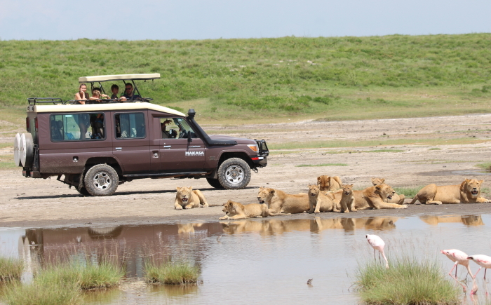 Tanzania-Safari-makasa-jeep