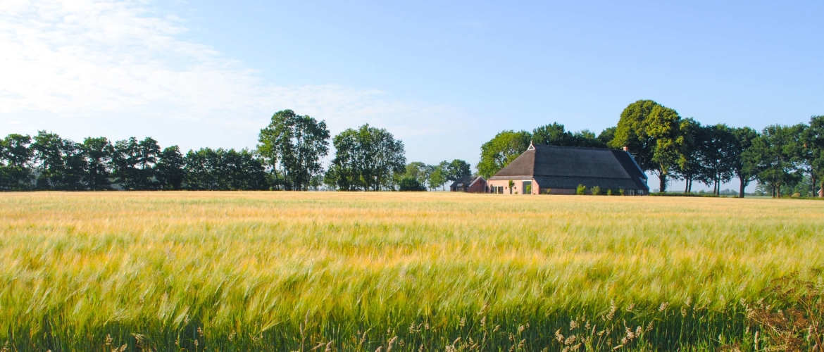 Wat moet je allemaal regelen als je een huis wilt kopen?