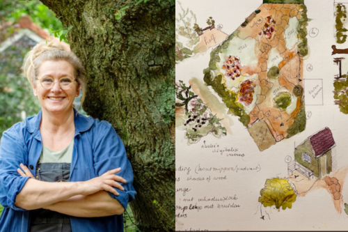 Anita Sanders tuinontwerp natuurlijke tuinen