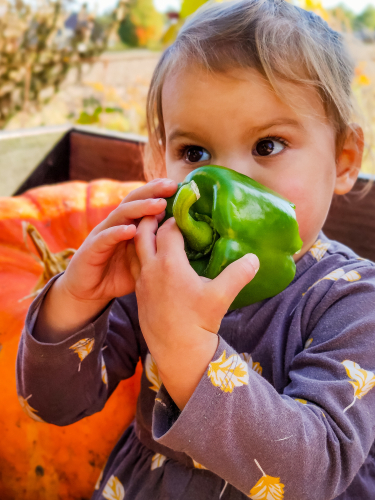 rosa eet paprika