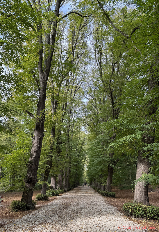 Groenendaal_Beukenlaan Groenendaal_Beukenlaan