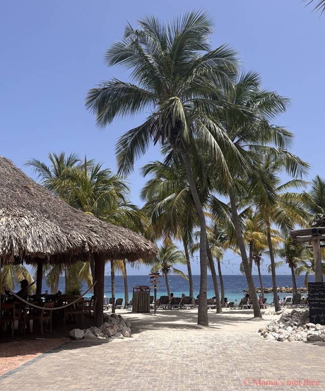 Bue Bay Beach met aan links Coast Beach restaurant
