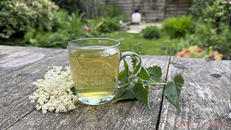 Brandnetel vlierbloesem thee Brandnetel vlierbloesem thee