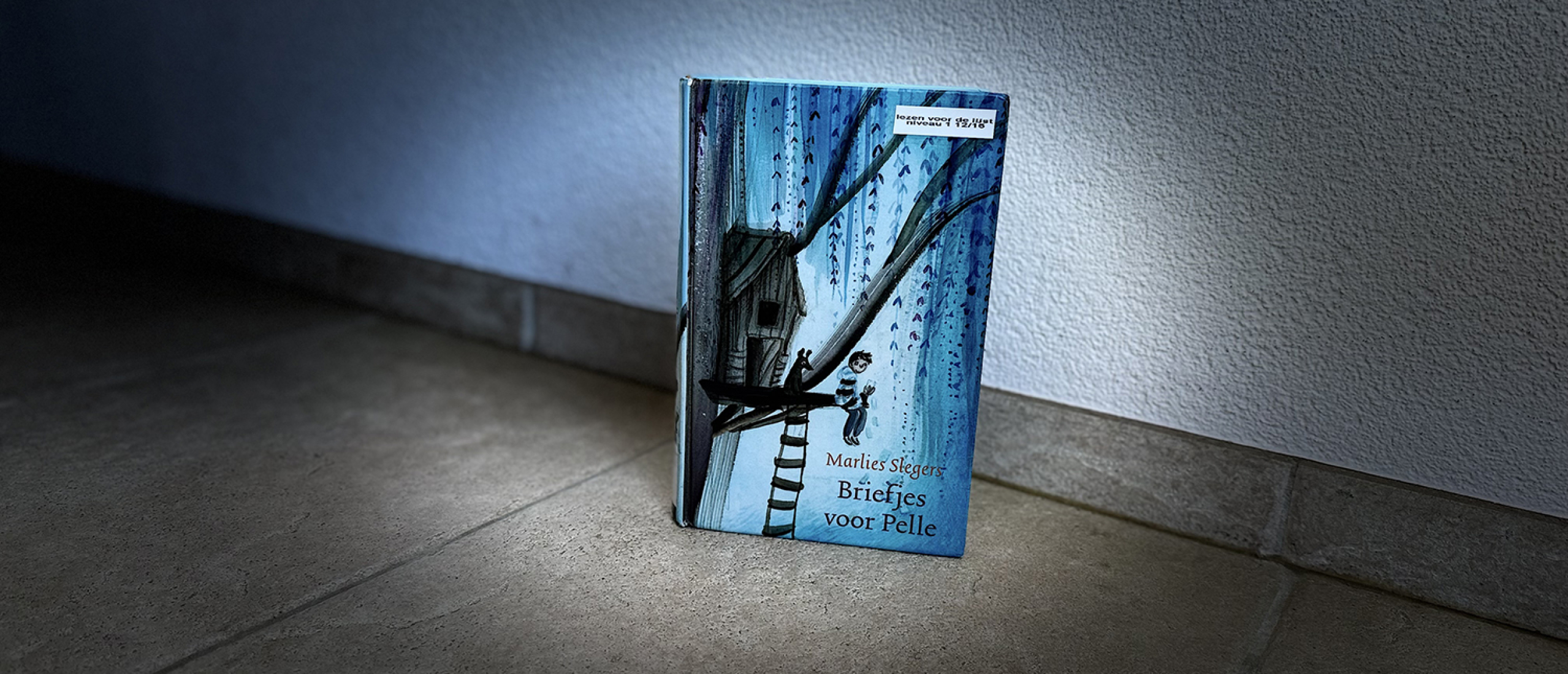 Briefjes voor Pelle uitgelichte cover