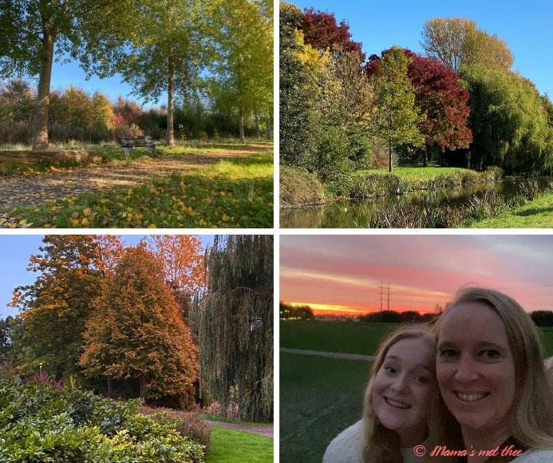 Herfstkleuren_terugblik op de herfst