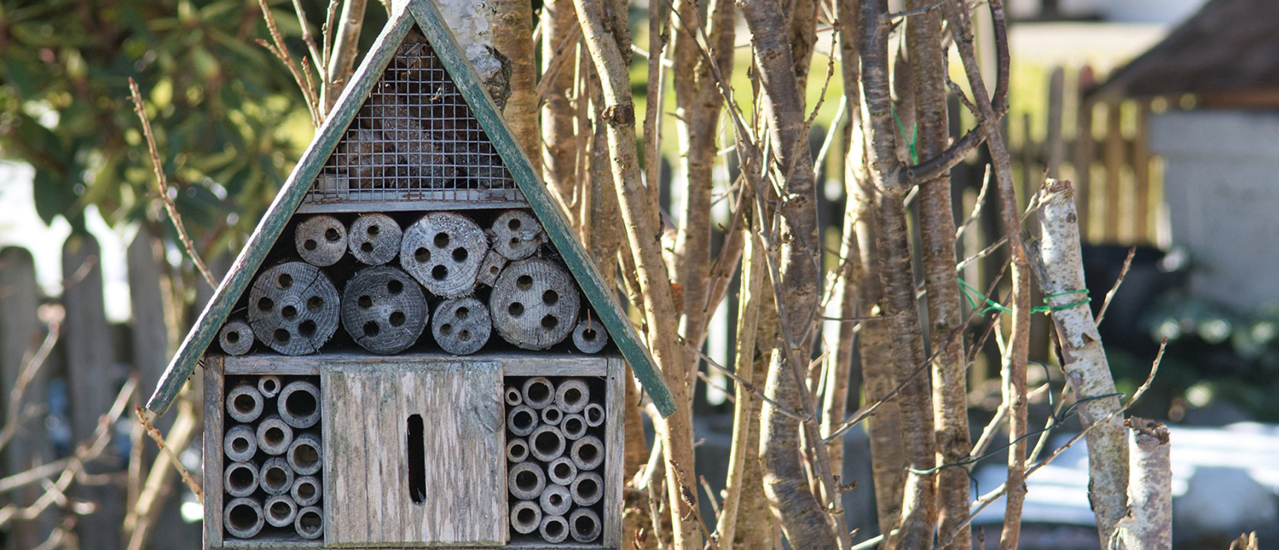 Insectenhotel