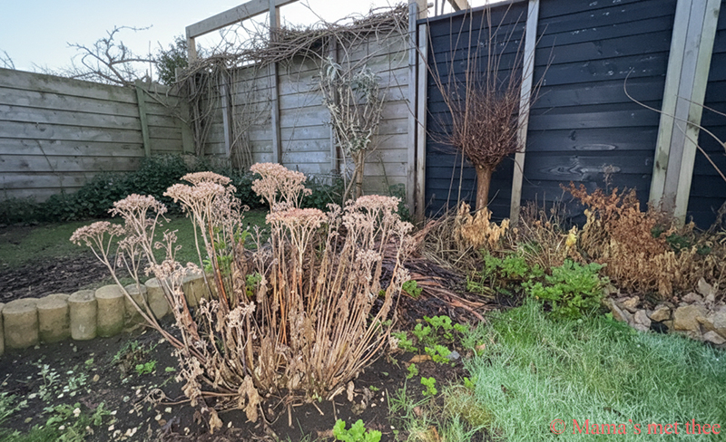 Januari rustmaand in de tuin