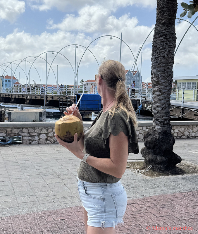 Kokosmelk drinken Punda