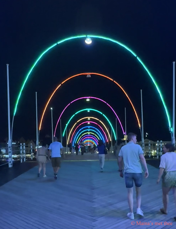 Koningin Emma brug by night
