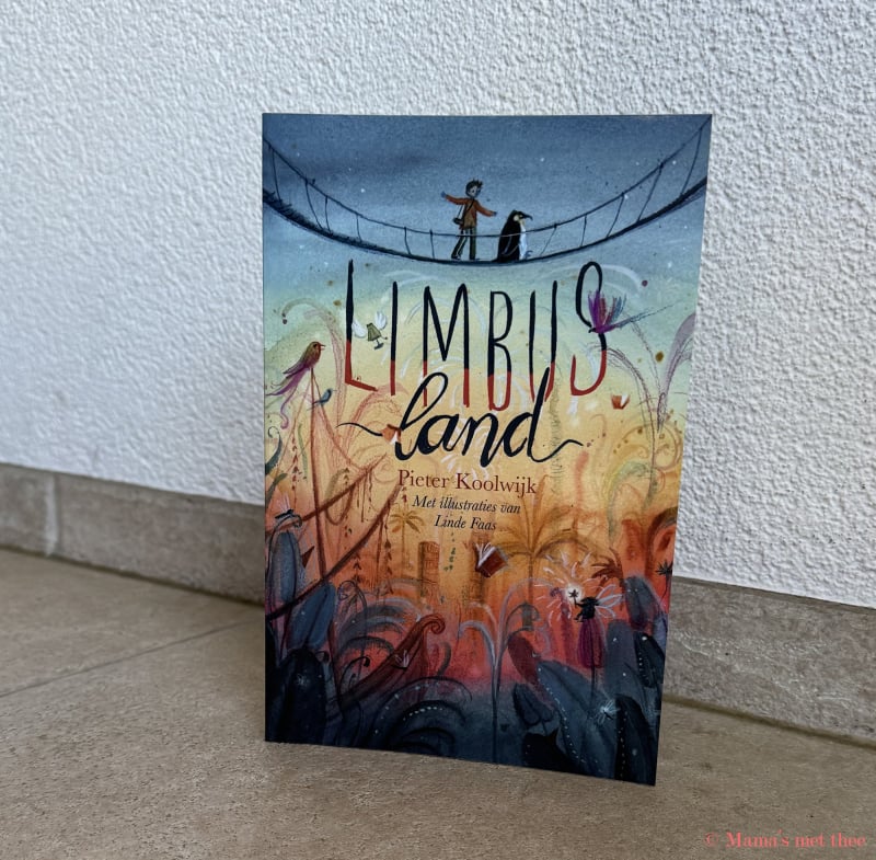 De cover van het boek Limbusland