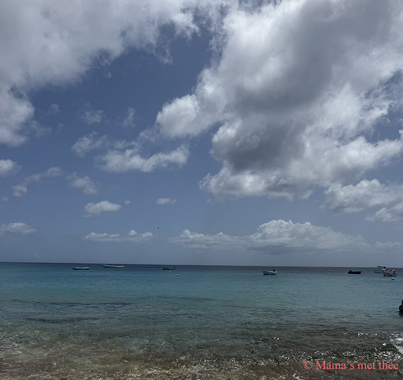 Kleurrijke vissersbootjes dobberen op de rustige zee bij Playa Piskado, Curaçao