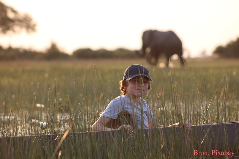 Safari met kinderen