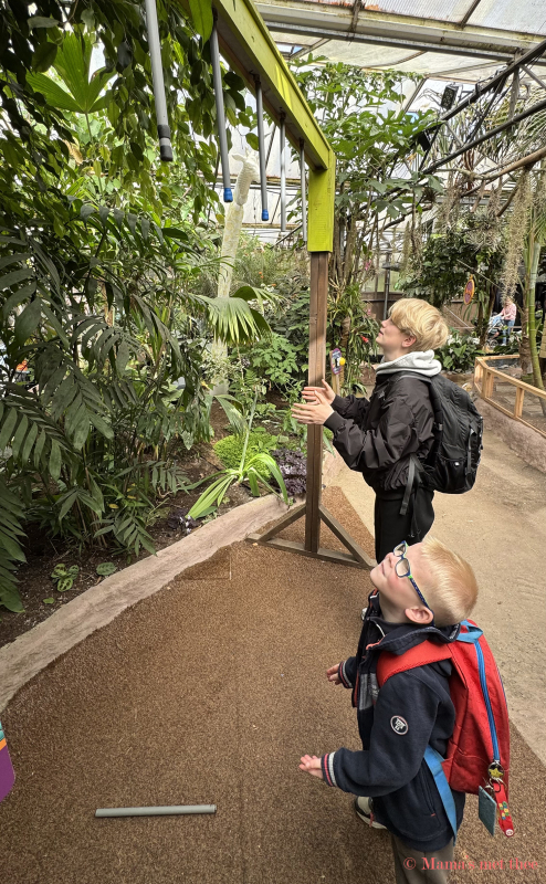 Dierenpark Almere Jungle Stokkenvangen Dierenpark Almere Jungle Stokkenvangen