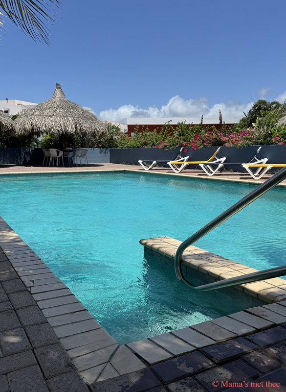 The Pearl of the Caribbean_zwembad