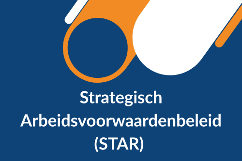 Ontwerp, onderbouw en adviseer op beloningsniveau