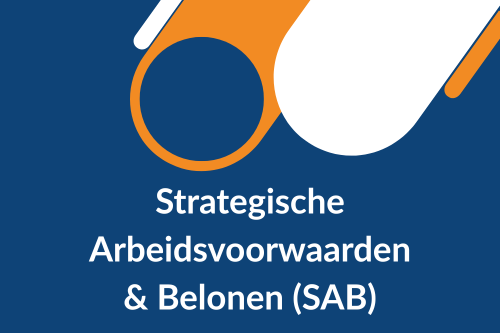 Strategische Arbeidsvoorwaarden & Belonen (SAB)