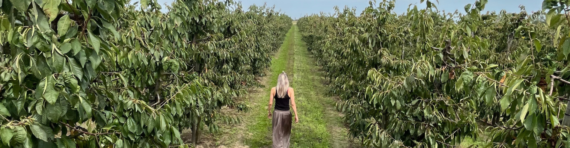 behandeld eetbuien na een maagverkleining effectief