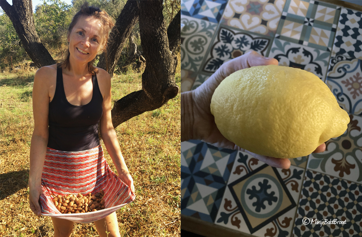 Amandelen en citroenen uit eigen tuin - Marije Bakt Brood