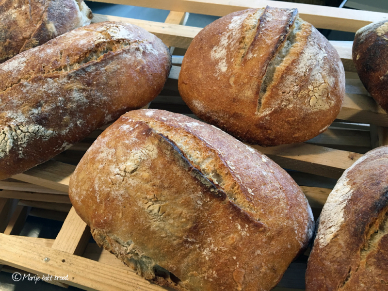Baking Lab brood experiment - Marije Bakt Brood