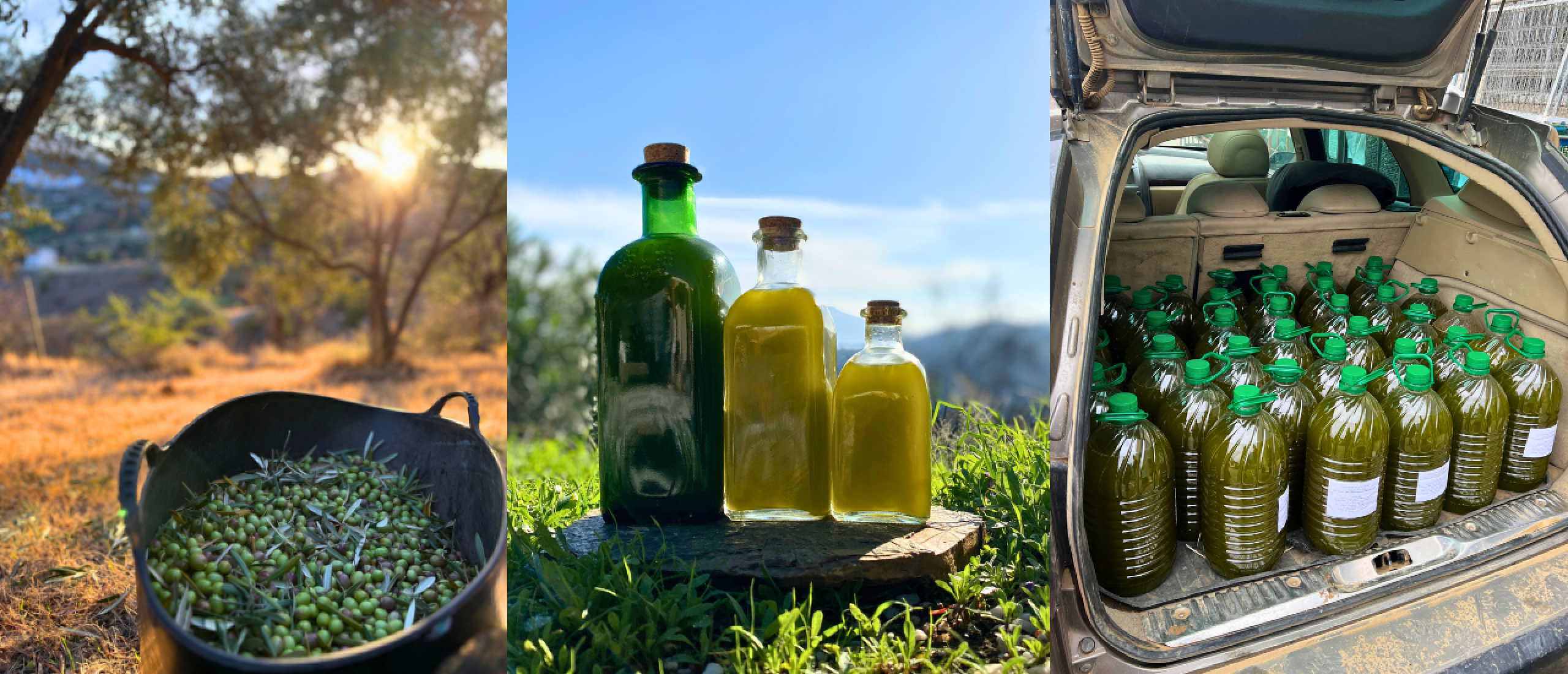 Bakken met olijfolie: 9 essentiële weetjes