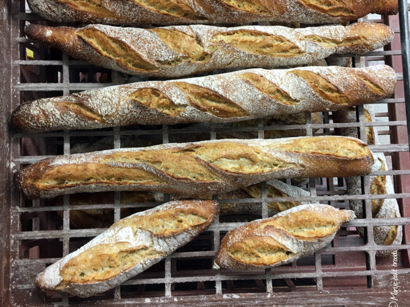 Eenvoudige stokbroodjes spelt in broodbak- Marije Bakt Brood