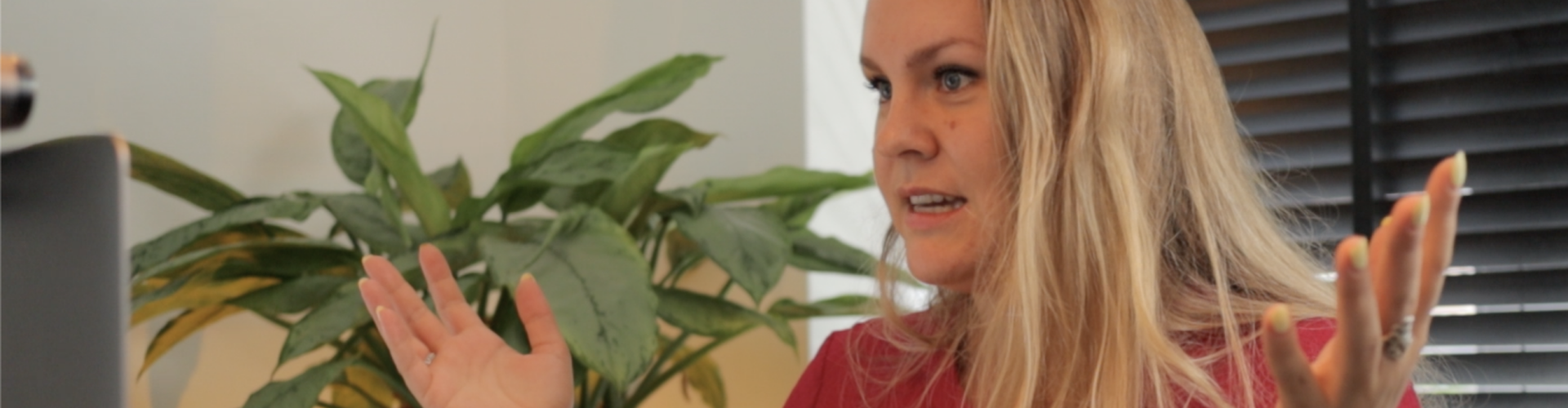 boost je webinar in 100 dagen