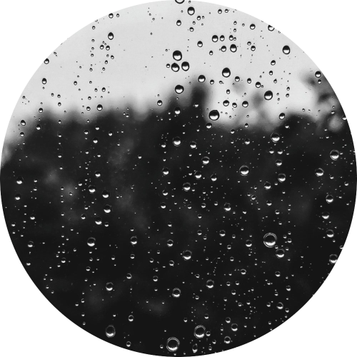 Regenachtige maandagochtend | Marvindereuver.nl