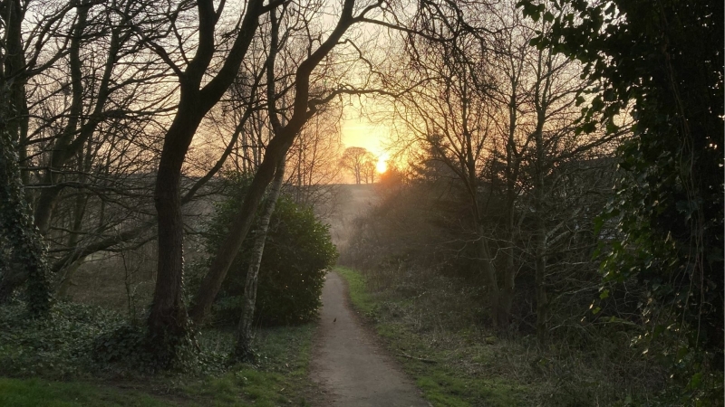Ochtendpad met de zon