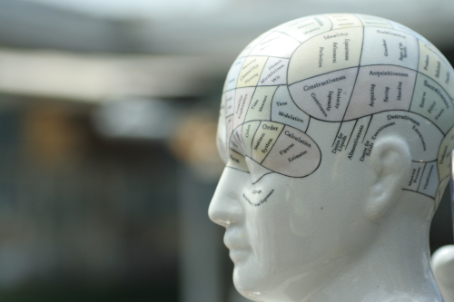 thuisstudie frenologie