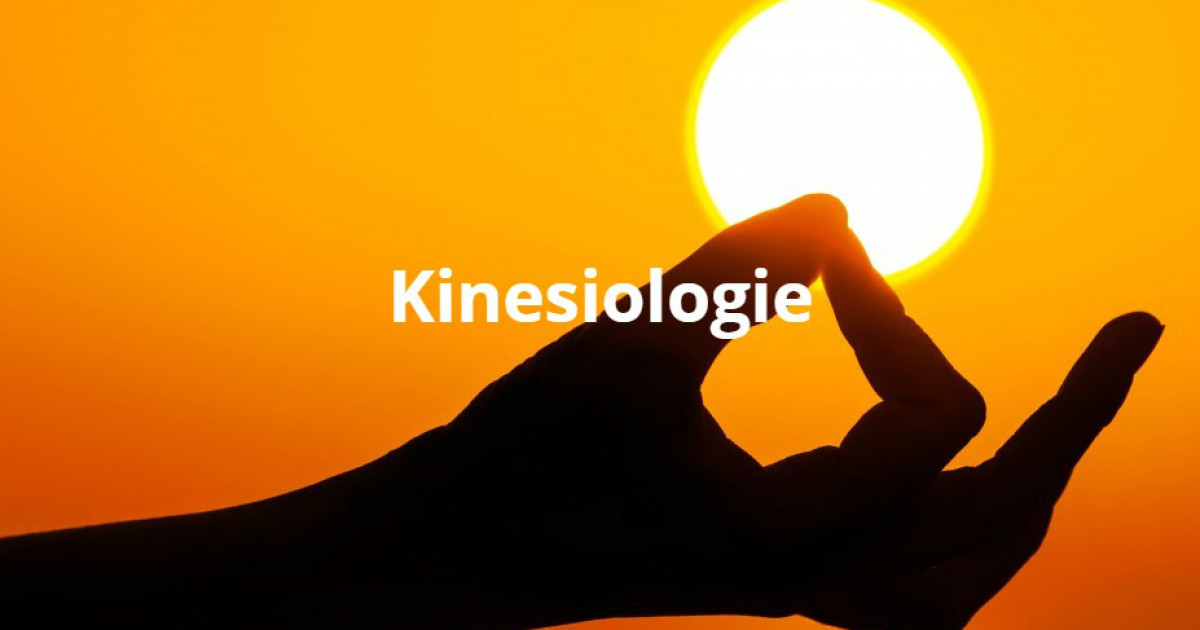 Cursus kinesiologie