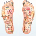 studie voetreflexologie