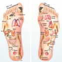 studie voetreflexologie