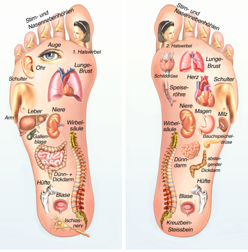 studie voetreflexologie