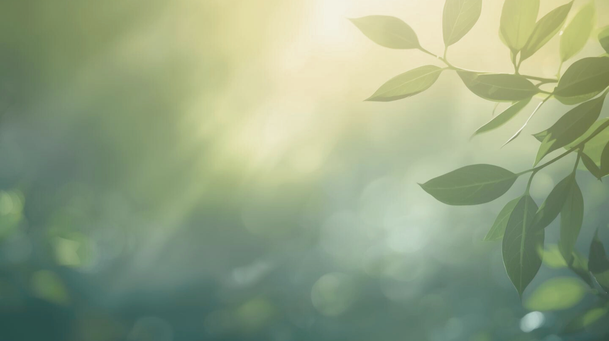 Zachte Flow-sessie met aandacht voor ontspanning, aarding en aanwezigheid Sfeerbeeld dat de rust, zachtheid en aandacht van een Flow-sessie verbeeldt, waarin het lichaam mag ontspannen en landen.