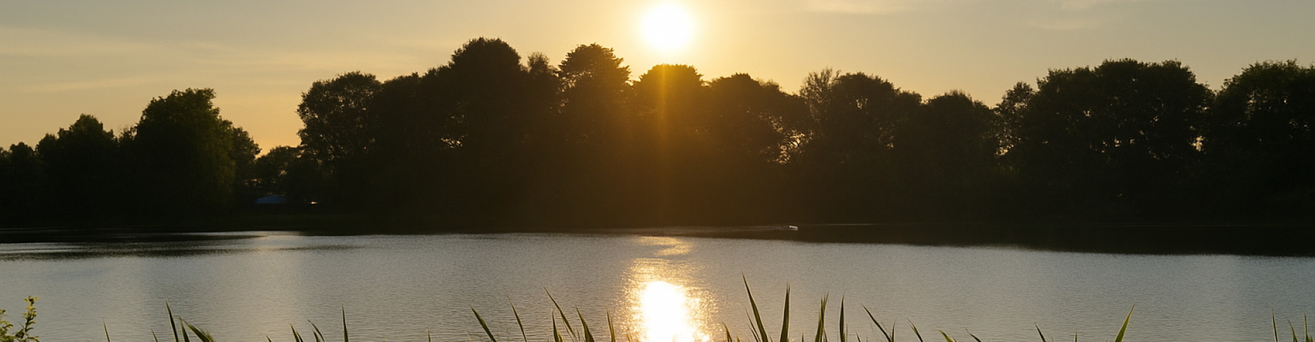 “Een serene overgang van goud naar blauw licht, geïnspireerd op de zonsondergang bij het meer vlak bij Praktijk Michel Elzinga in Steenwijk. De afbeelding symboliseert rust, balans en de natuurlijke flow van herstel.”