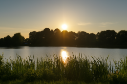 “Een serene overgang van goud naar blauw licht, geïnspireerd op de zonsondergang bij het meer vlak bij Praktijk Michel Elzinga in Steenwijk. De afbeelding symboliseert rust, balans en de natuurlijke flow van herstel.”