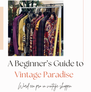 ebook-a-beginners-guide-to-vintage-paradise